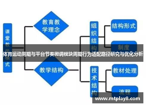 体育运动周期与平台节奏微调模块周期行为适配路径研究与优化分析